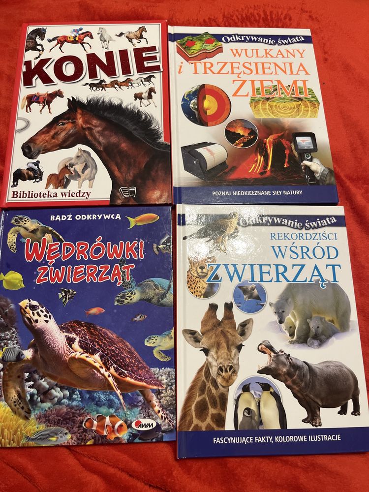 Zestaw kduazek konie zwierzeta wulkany ziemia
