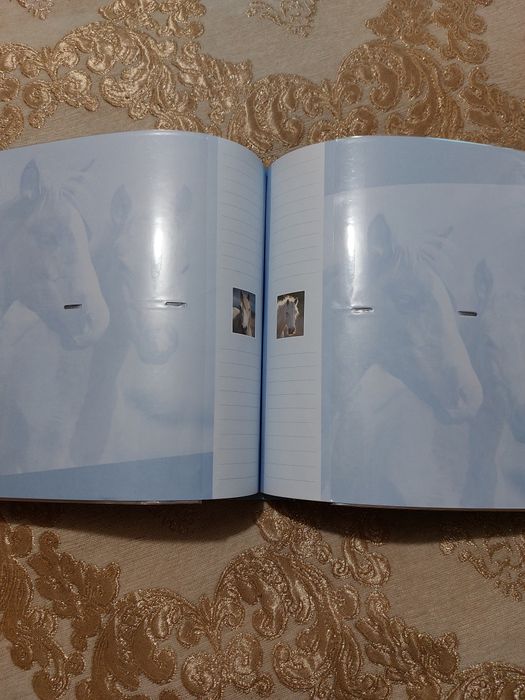 Фотоальбом (200 фото)