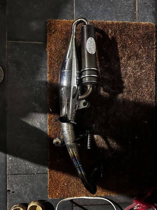 рнзонатор leo vince zx