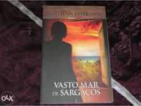 Despachar: Livro vasto mar de sargaços de jean rhys