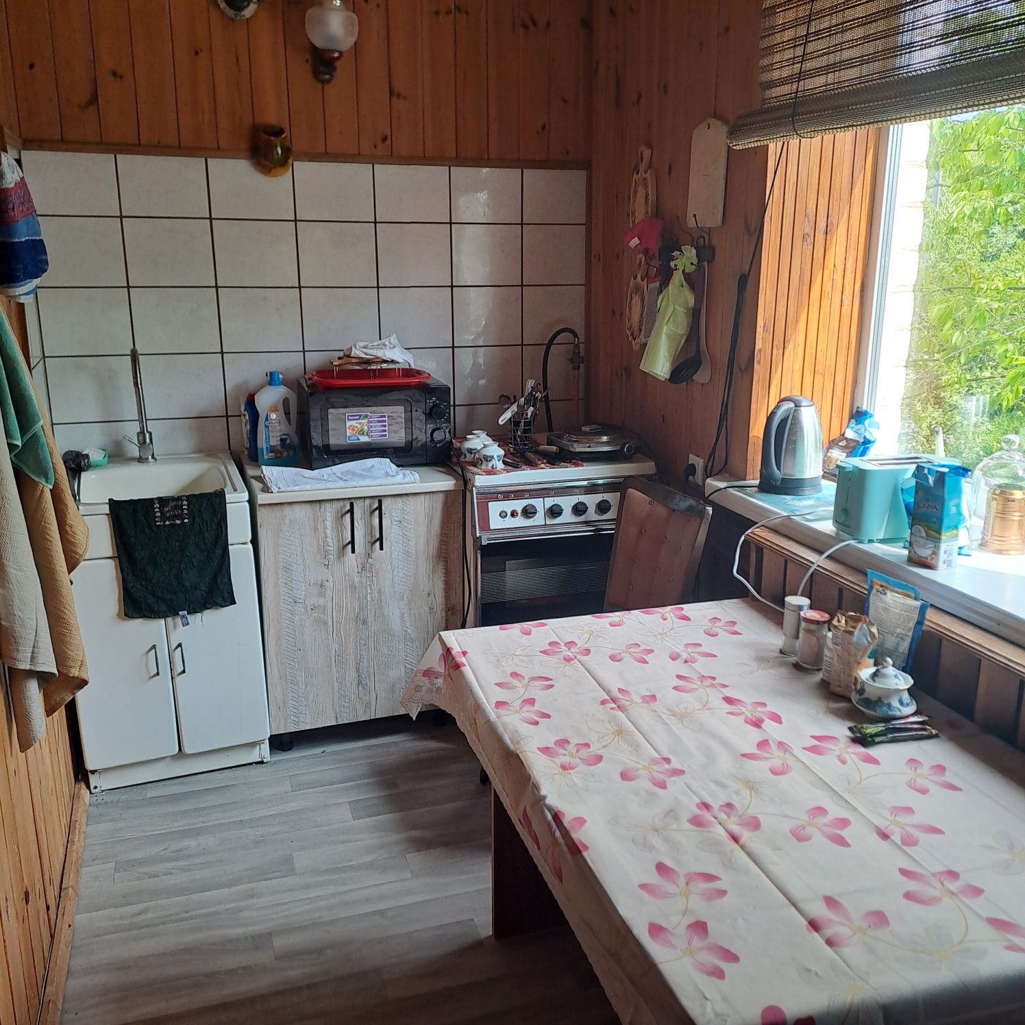 Відпочинок в лісі біля озера Дениші Житомирська область