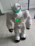 Robot chodzący interaktywny