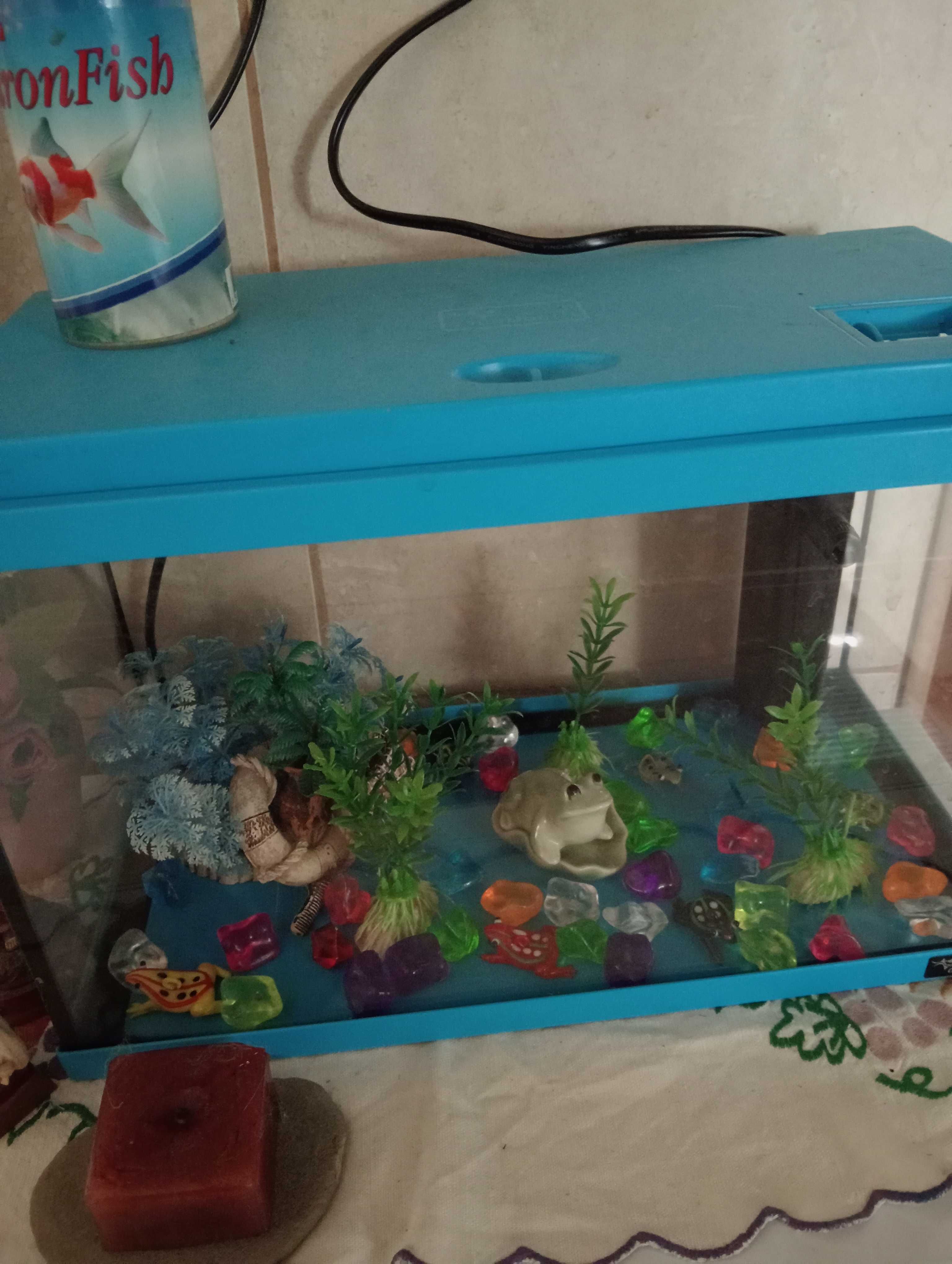 Aquário de peixes