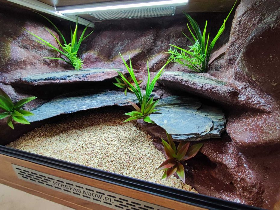 Terrarium pustynne nr645 60/40/40 dla gekona lamparciego NA ZAMÓWIENIE