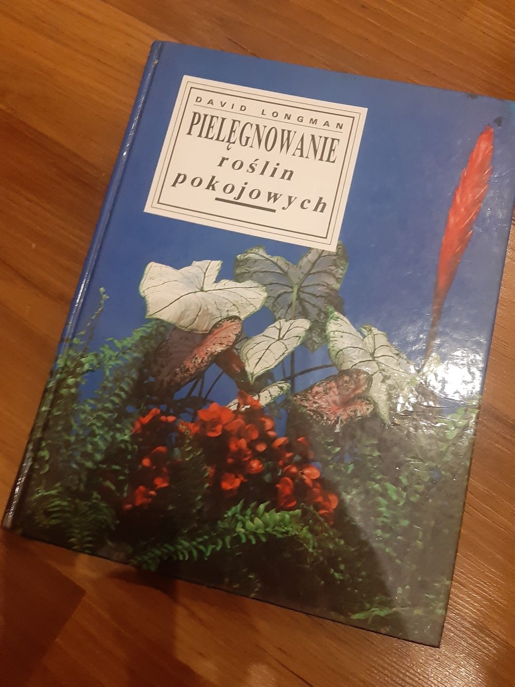 Pielęgnowanie roślin pokojowych David Longman