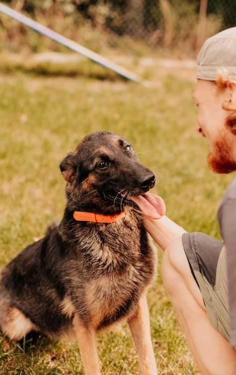 Specjalistka do spraw spacerów poleca się do adopcji!!!