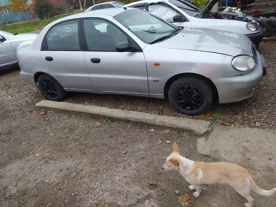 Дэо сенс на полном ходу