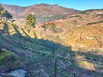Terreno  para venda