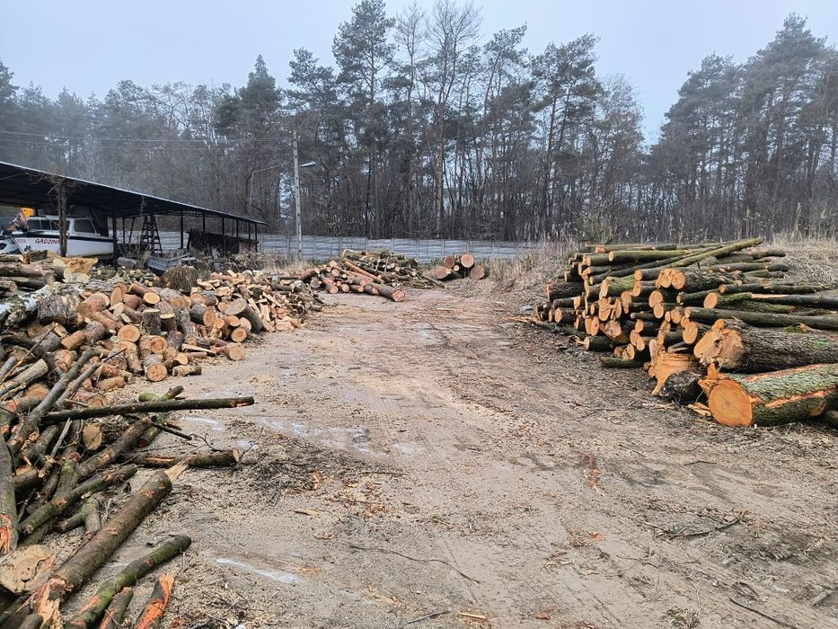Drzewo drewno opałowe różne