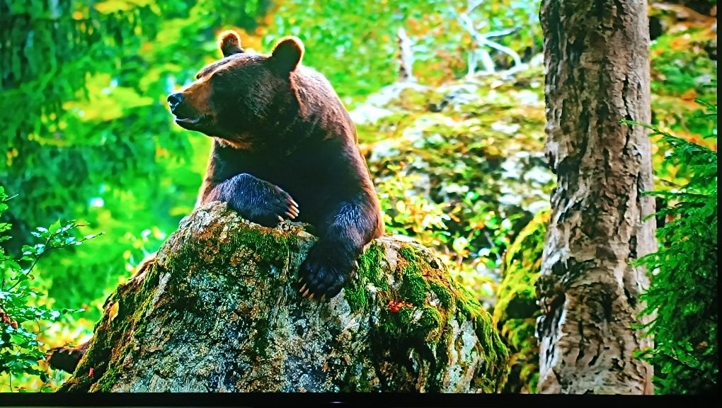 55 дюймов 9 серия Oled 120Hz Sony KD-55AG9  HDR 4K Android