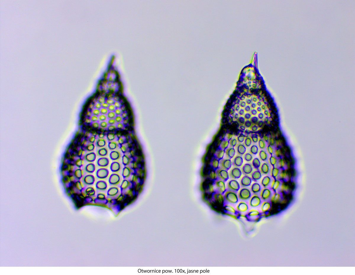 Mikroskop Delta Optical Genetic Pro Trino (DO-3406)