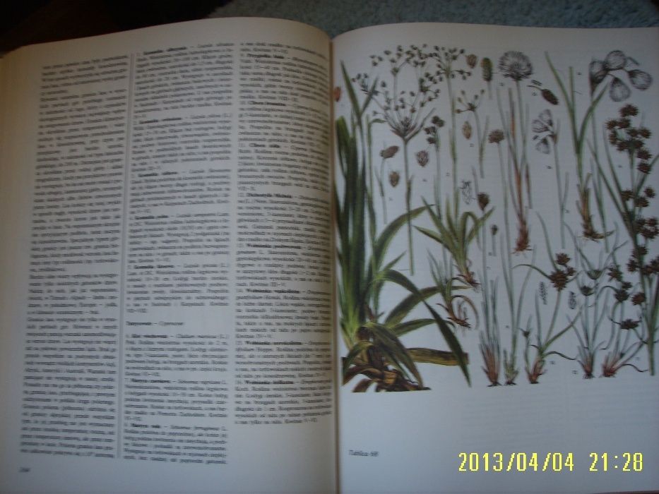Świat roślin - wspaniała księga