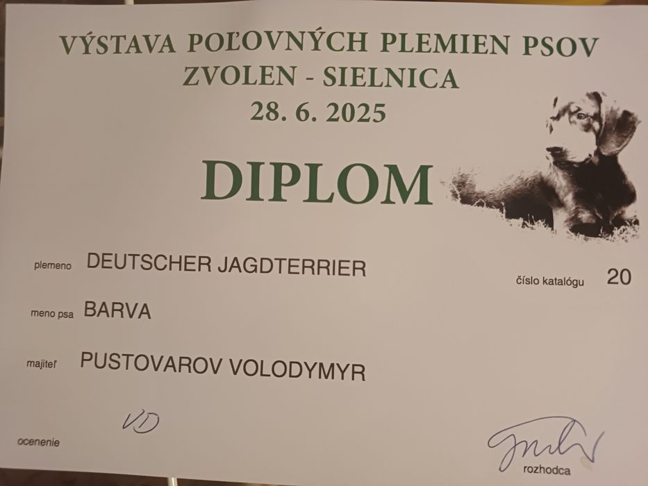 Ягдтер'єр продається