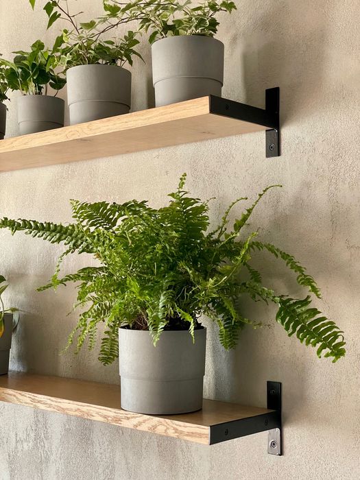 Dębowa półka, Półki dębowe