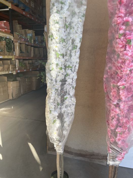 Flores de cerejeira linssimas branca e rosa grandes com entrega