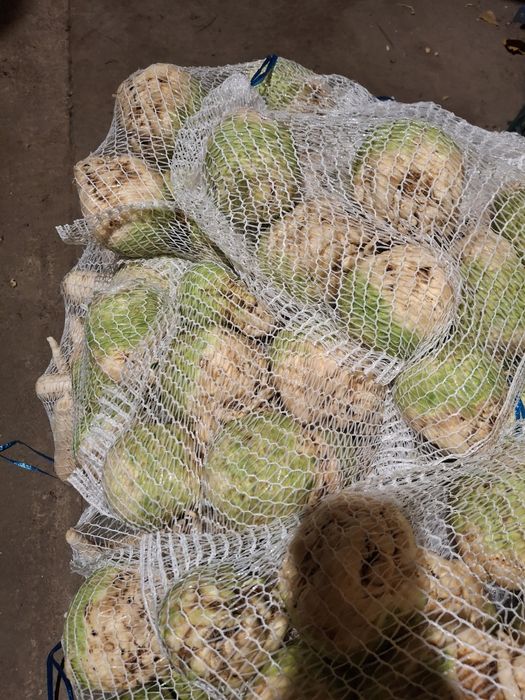 Seler myty luzem bądź worek