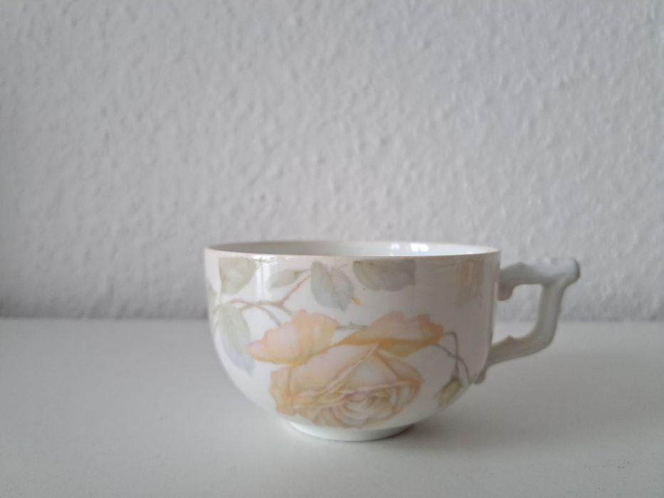 Duo Rosenthal, porcelana, bardzo rzadki wzór Rosenhal  SELB-BAVIA