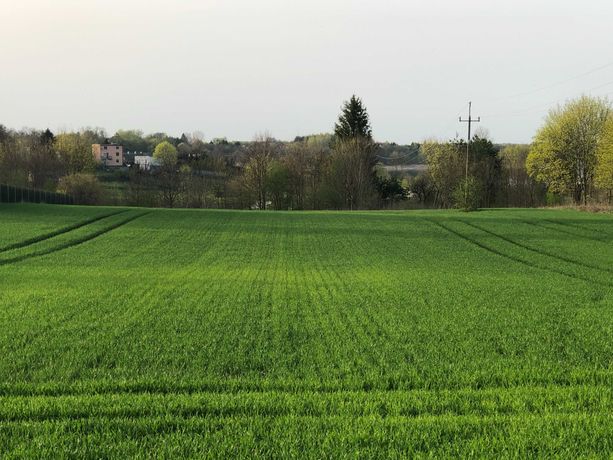 Działka blisko jeziora na Mazurach