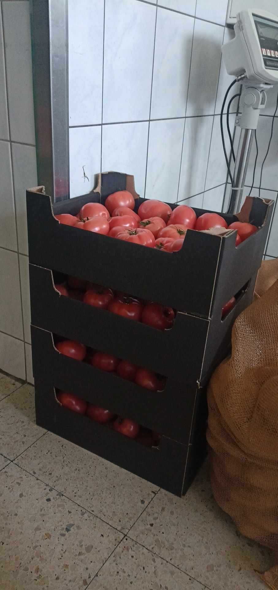 Karton po pomidorach
