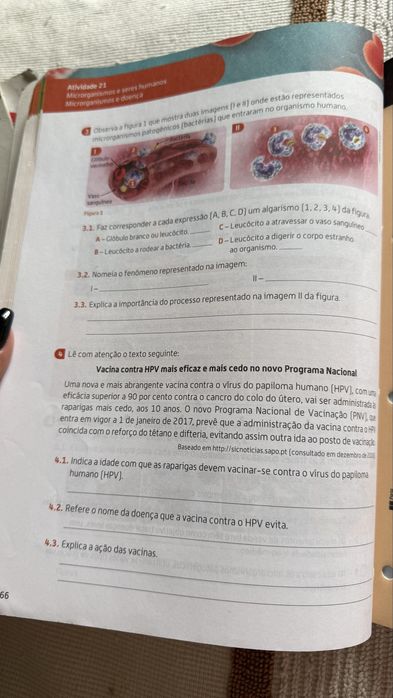 Cientic 6ano Caderno de atividades