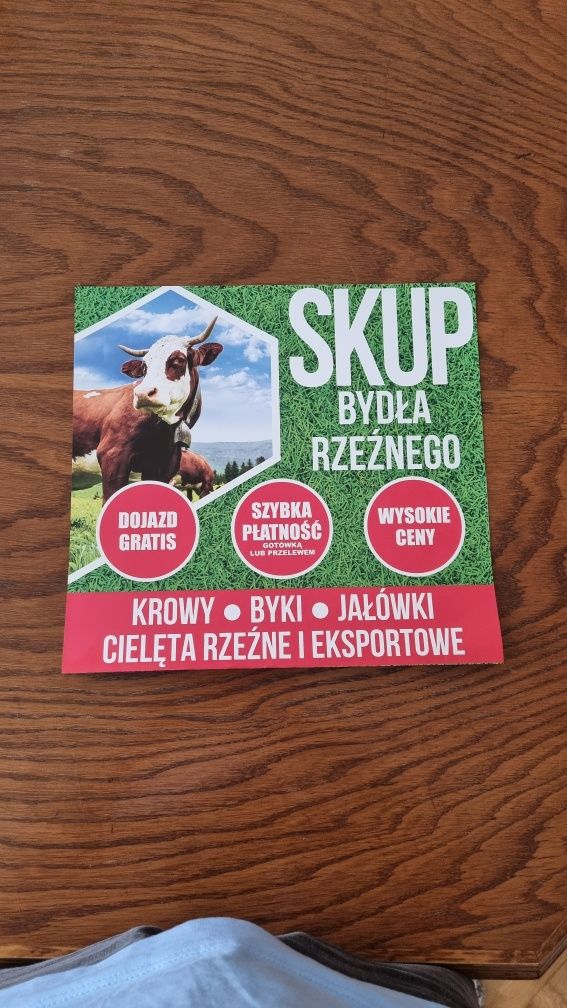 Skup bydła I cieląt