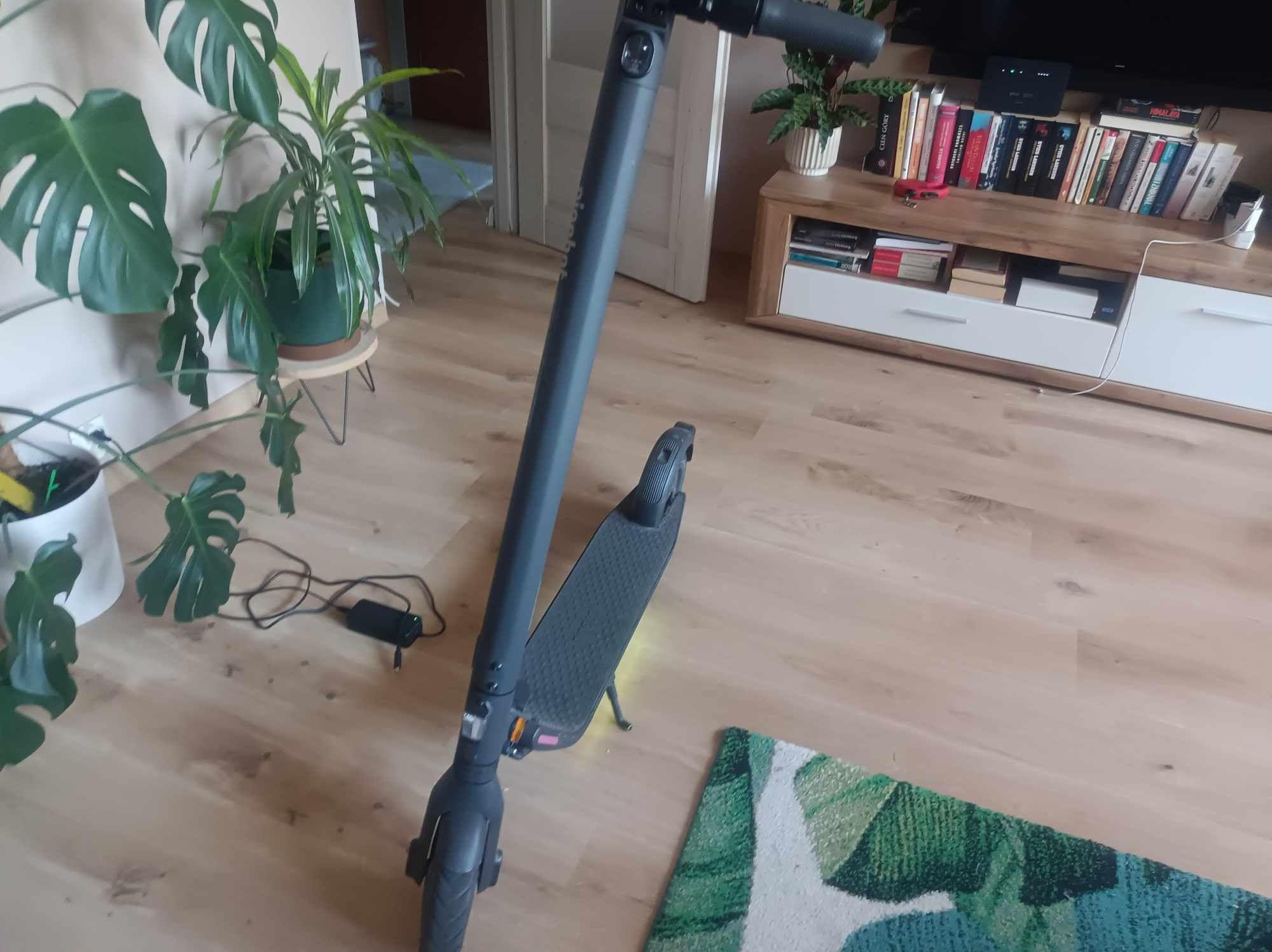 Hulajnoga elektryczna Segway ninebott e22e