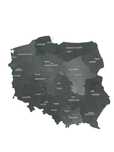 Mapa Polski 100cm grawer województw i miast wojewódzkich wybór kolorów