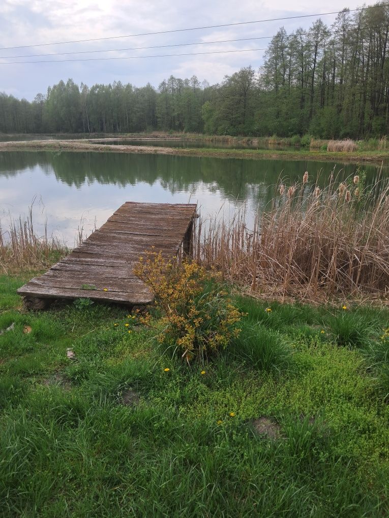 Sprzedam działkę w Nekielce