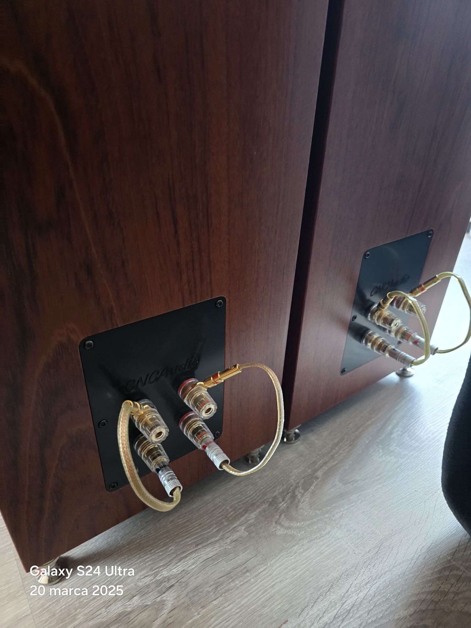 CNC AUDIO.  Vifa ne, morel, Diy