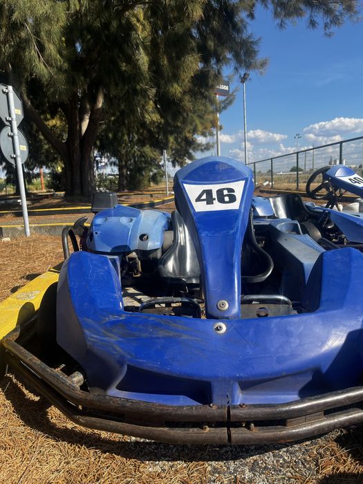 Kart com Motor Honda 270cc
