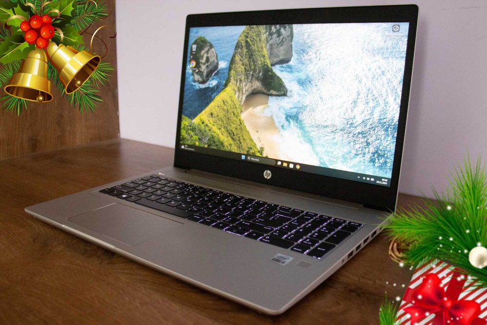 HP ProBook 450 G7  i5 10 gen  16 GB RAM  256 GB  Win 11