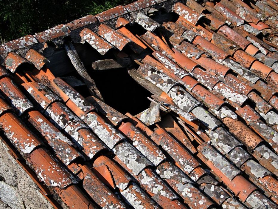 Reparação telhado/claraboia canalizações e vazamentos