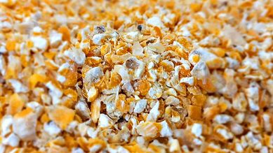 Kukurydza gnieciona karma dla drobiu 10kg