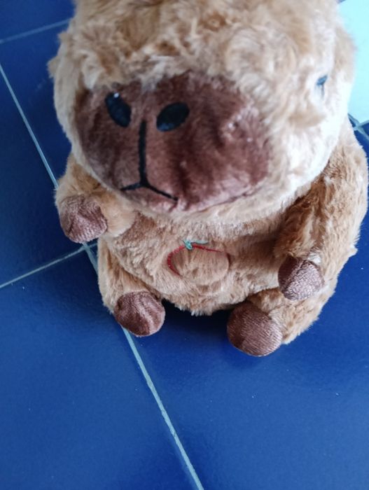 Capivara respira e com som