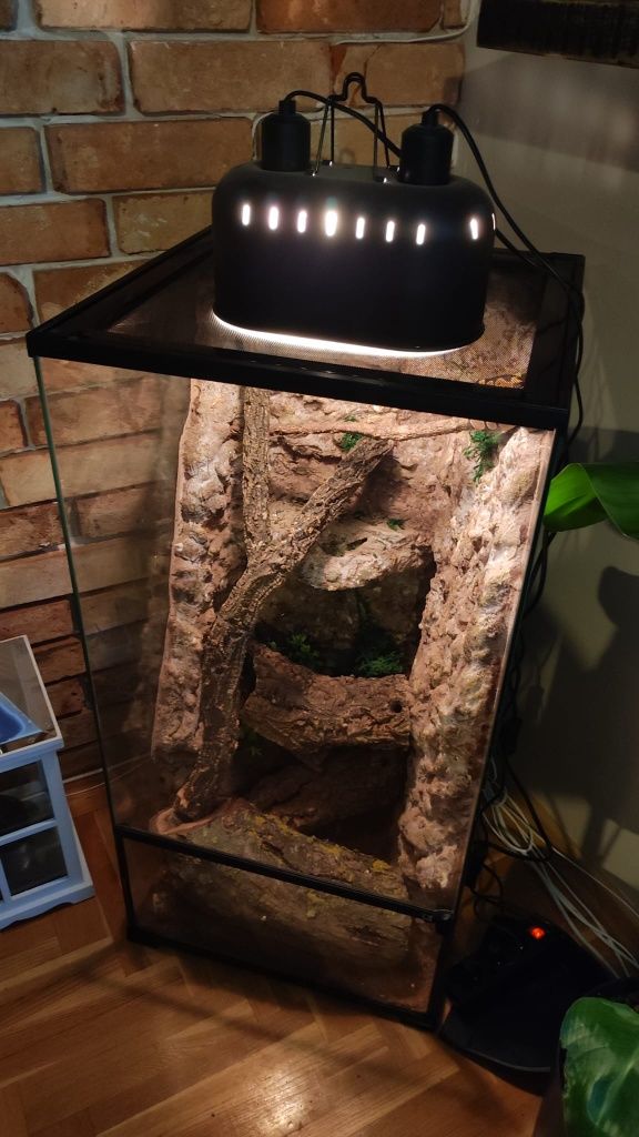 Terrarium szklane IG REPTI z wyposażeniem dla kameleona , gekona  itp