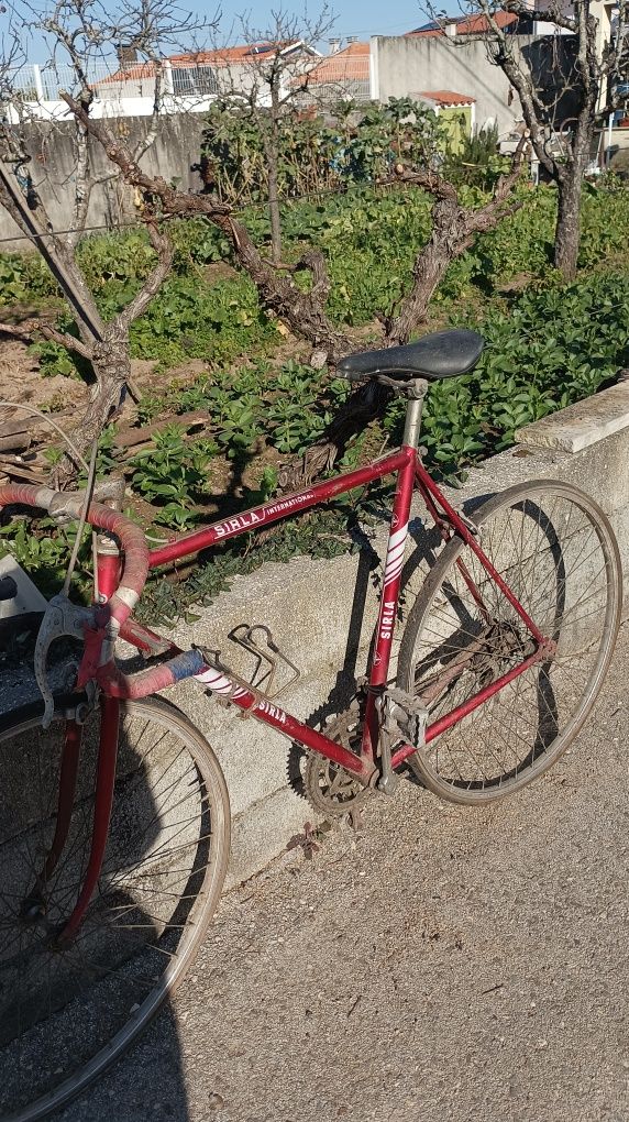 Bicicleta corrida