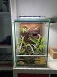 Terrário / aquario para plantas e animais