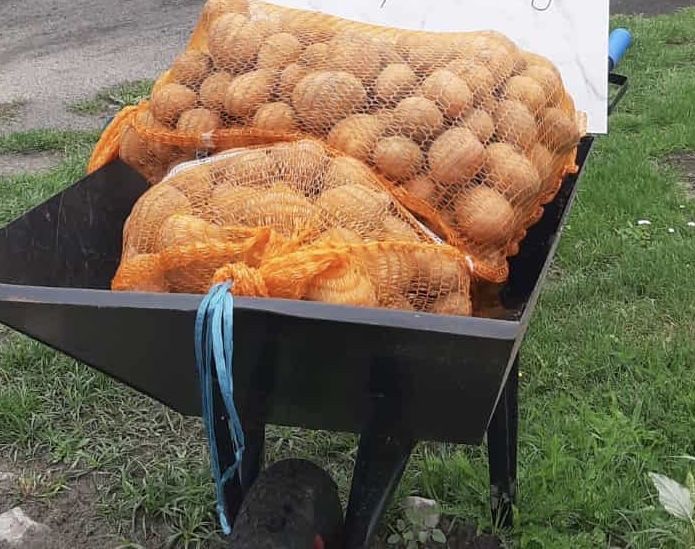 Sprzedam ziemniaki