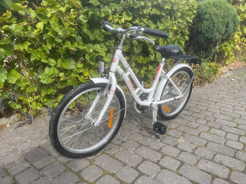 Rower greenfield 20”