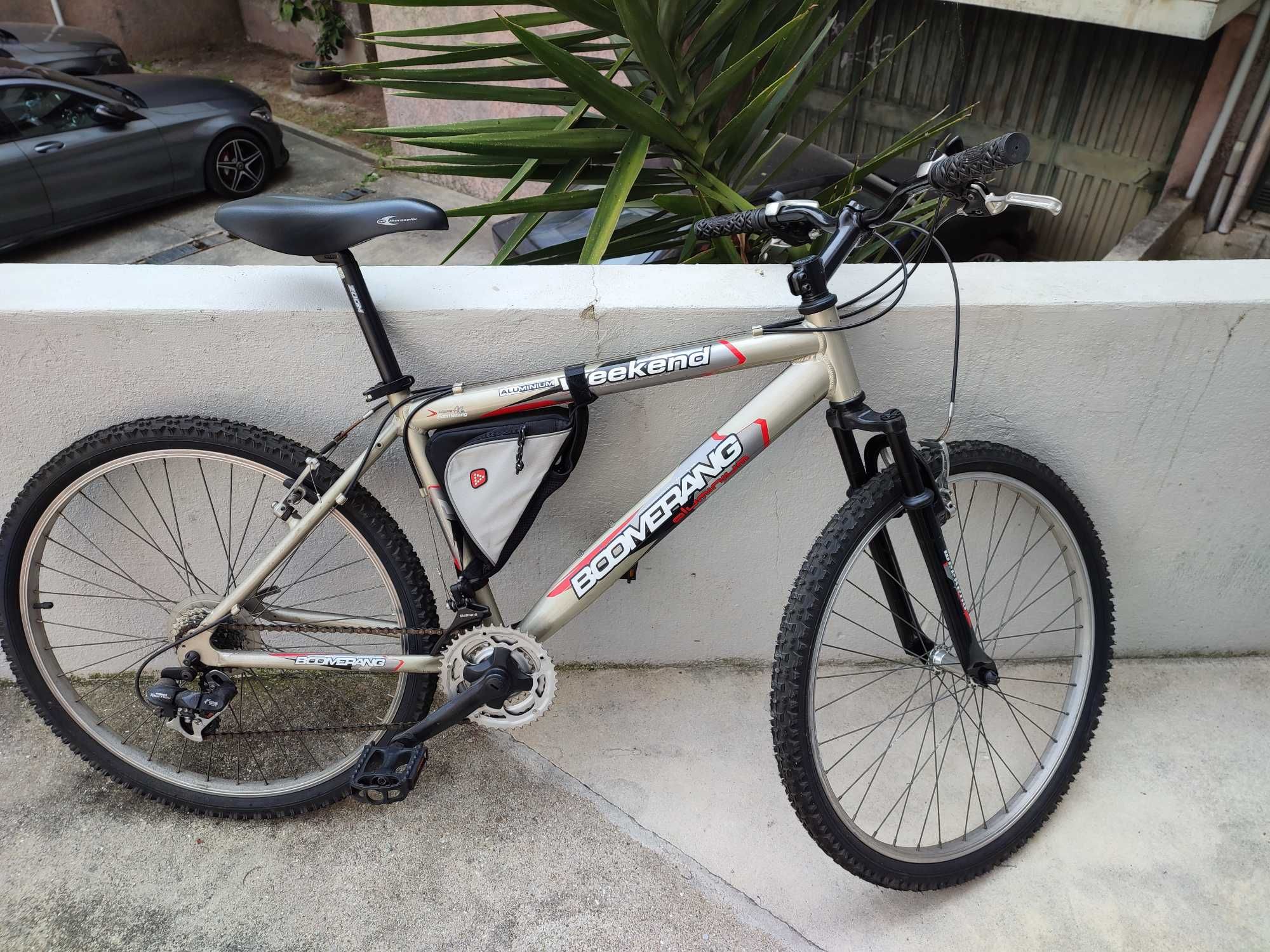Bicicleta de adulto