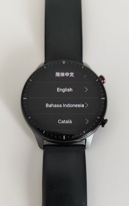 SmartWatch AMAZFIT GTR 2