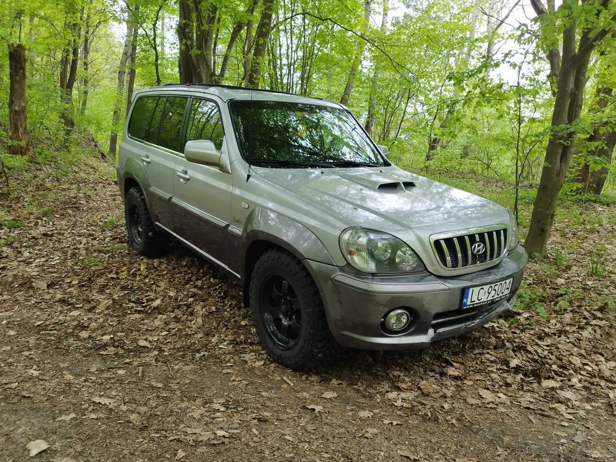 Hyundai Terracan 2.9 crdi 4x4 offroad