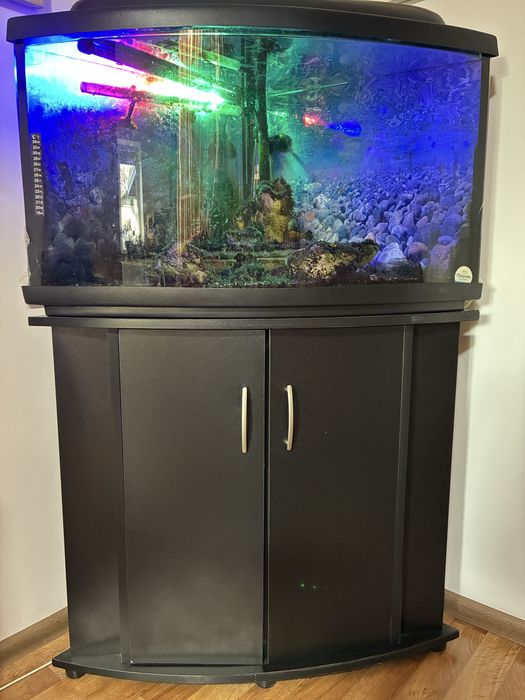 Функціонуючий акваріум