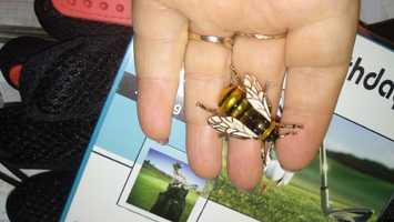 значок знак брошь брошка ОСА ПЧЕЛА пчелка как живая желтая металл