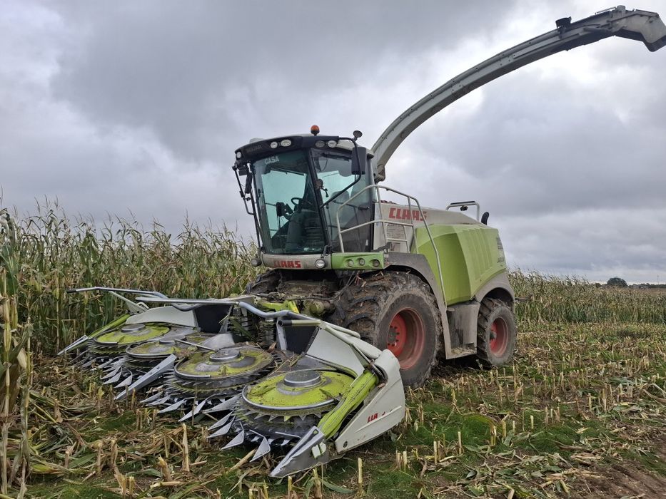 Sieczkarnia claas jaguar 940 orbis 600
