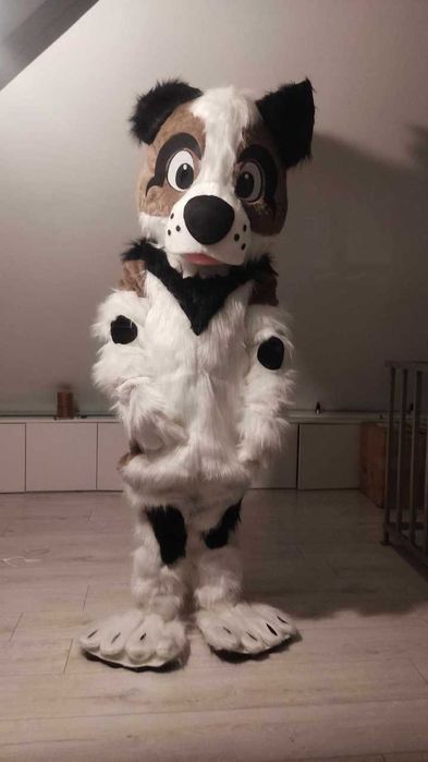 Żywe maskotki wynajem wysyłkowy strojów Misio Piesek Panda Kot Smok