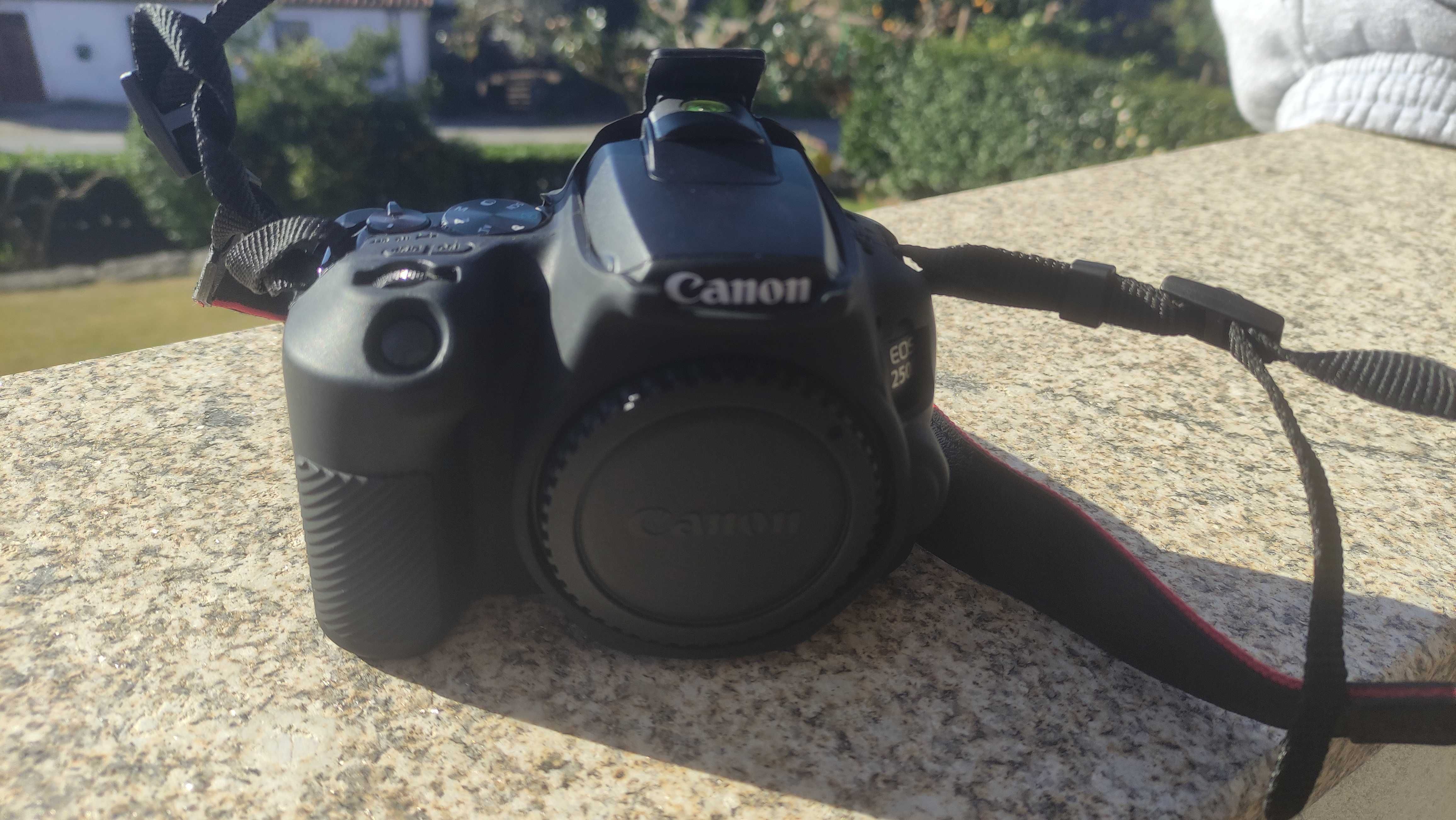 Travel Kit: Canon 250d