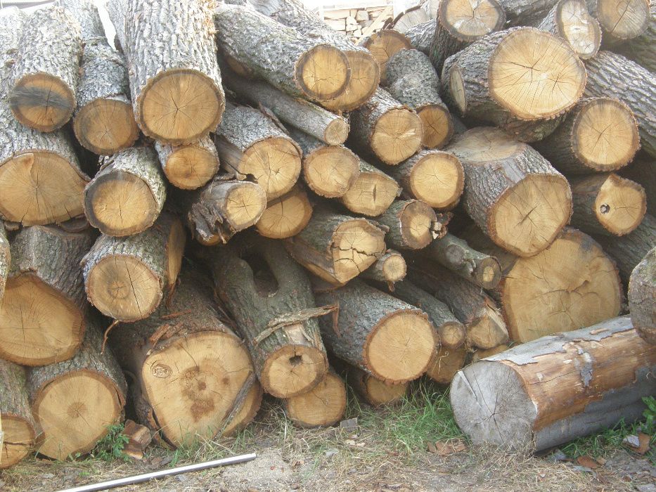 DREWNO kominkowe BUK, GRAB