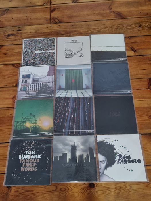 Płyty winylowe Lp kolekcja elektronika IDM trip hop ,42 sztuki