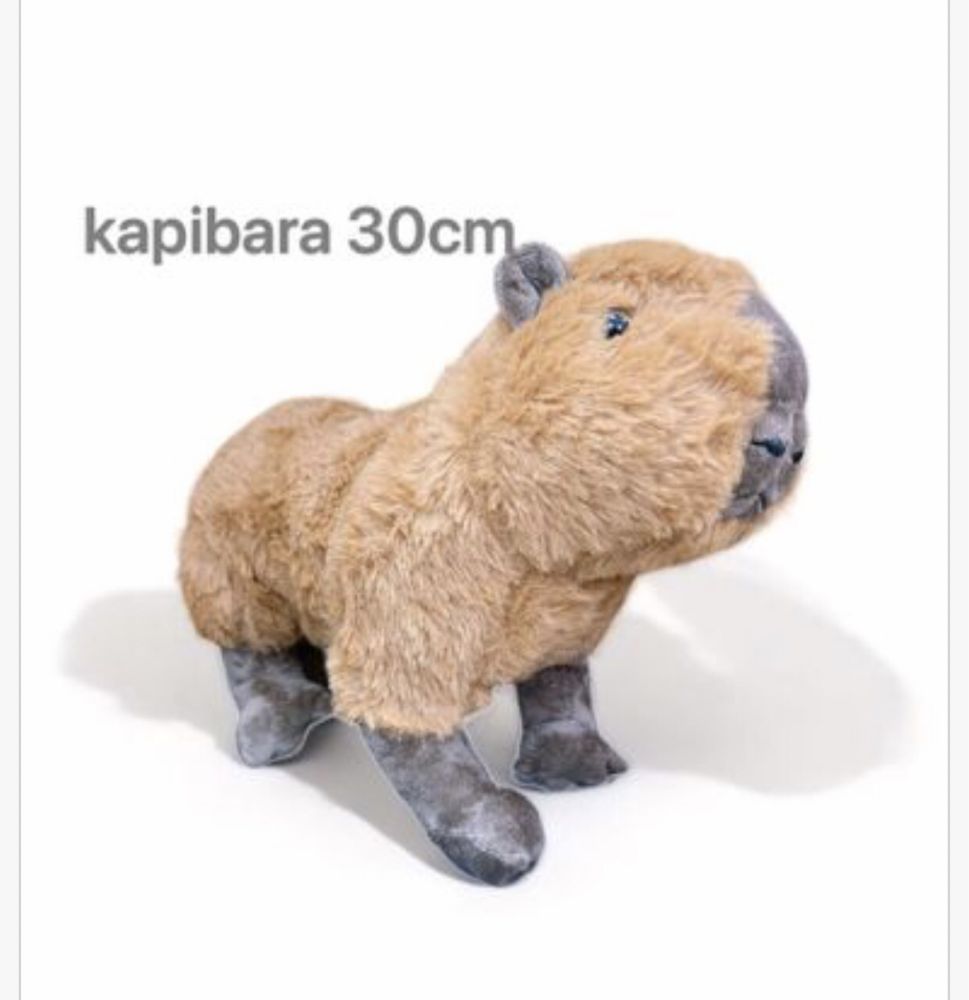 Maskotka pluszak kapibara